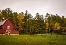 Now is the time for farm budgeting Barn and farmland
