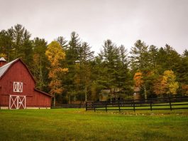 Barn and farmland