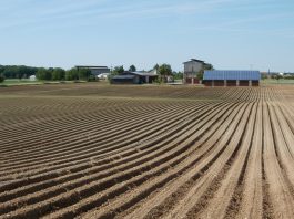 Farm field