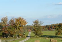 What is a conservation plan? Farmland