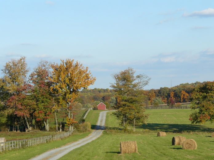 Farmland