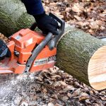 How to fell a tree Cutting wood