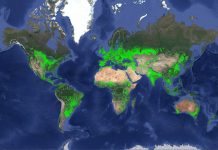 Cropland map supports food, water security World cropland map
