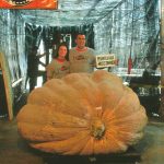 Ohio Valley Giant Pumpkin Growers set new records Giant pumpkin