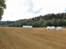 How to fund conservation plans farmland