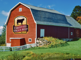 Certified Angus Beef brand