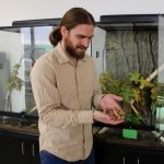 Penn State offers insect identification services Penn State