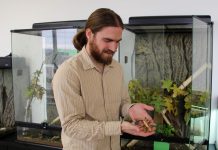 Penn State offers insect identification services Penn State