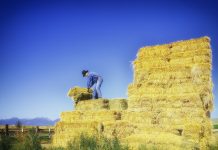 Ag industry voices concern over NAFTA negotiations rancher