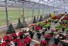 Roundup of FFA news for Dec. 7, 2017 Northwestern Greenhouse