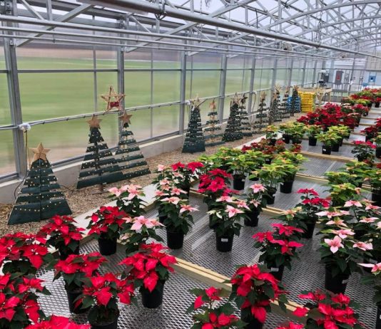 Northwestern Greenhouse