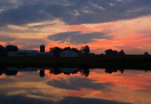 Being positive in a broken world Ohio farm