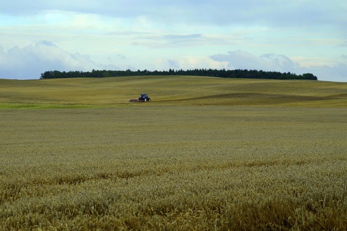 harvest