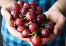 Food industry certification open to students grapes