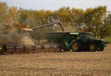 Grain markets are looking for Mr. Good News soybean harvest