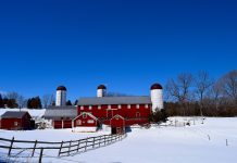 Employee evaluation time, host a ‘stay’ meeting snowy farm