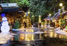 Have yourself a Hallmark Christmas Christmas In Evergreen