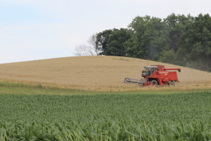 Harvest