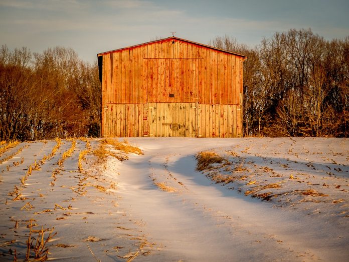 snowy barn