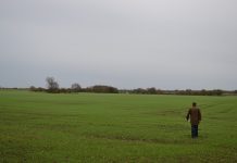 We’ve come a long way with soil technology man walking in a field