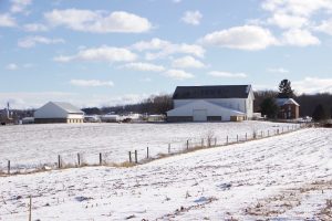 J&L cattle farm