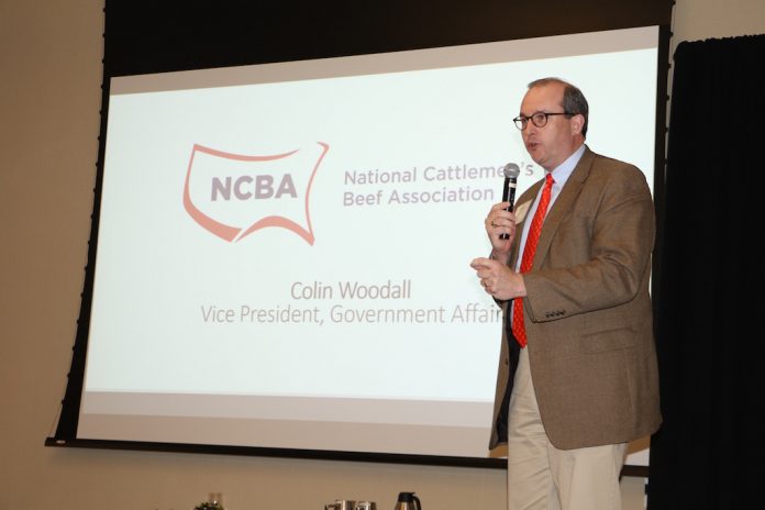 oca-woodall Colin Woodall