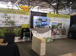 Pa. hemp industry makes plans to lead US Pennsylvania hemp