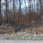 Wiles lagoon stirs debate in Wayne County Wiles lagoon