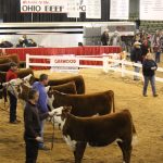 Ohio Beef Expo has a family focus Ohio Beef Expo