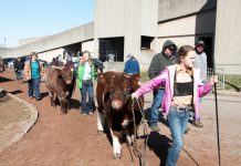 Ohio Beef Expo junior show champions Beef Expo show lineup