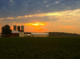 The ‘Wimpy’ Problem: How to properly value sweat equity on the farm Ohio farmland