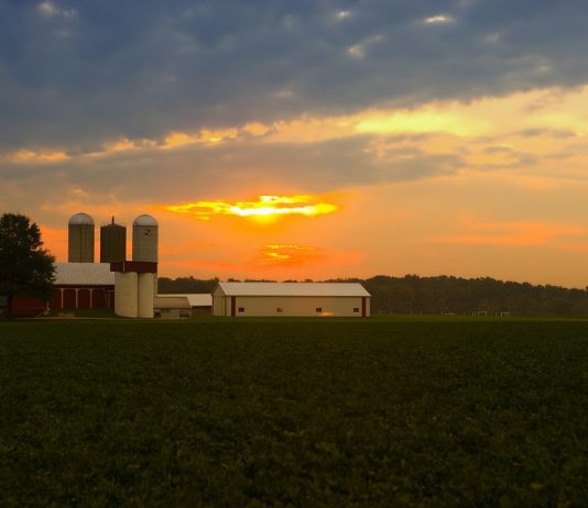 The ‘Wimpy’ Problem: How to properly value sweat equity on the farm Ohio farmland