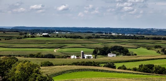 USDA survey: Most rented farmland is owned by non-farmers farmland