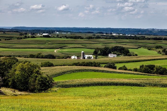 farmland