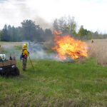Game commission plans controlled burns controlled burns