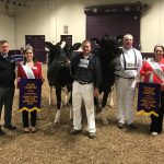 Campbell Run wins Holstein banner 2018 Pennsylvania dairy show