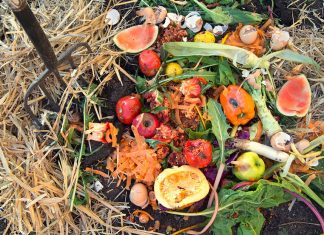 composting waste