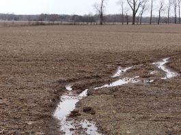 Field runoff