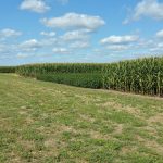 2 reasons to rotate crops: Yield and environment crop rotation