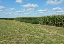 2 reasons to rotate crops: Yield and environment crop rotation