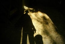 Should I continue farming? farmer