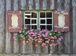 Neighbor talk: Why I adore the everyday drama of rural Facebook pages farmhouse window