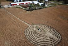 Farmers seek cooperation with TransCanada TransCanada mowing