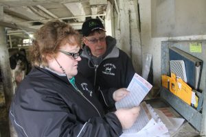 Thiele Dairy Farm