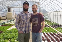 Lettuce Heads puts a fresh spin on vegetables Kurk and Nick Ziegler, Lettuce Heads