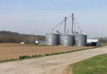 Tough times to give market advice Spillman Grain Farm