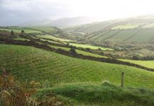 Ireland’s farms, food and future Ireland