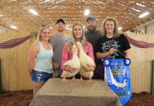 Harrison County junior livestock sale results