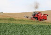 It’s a weather grain market (again) combining wheat