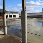 Additive may counteract gypsum-laced manure emissions gypsum laced manure